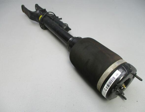 Suspension Strut MERCEDES-BENZ M-Klasse (W164)