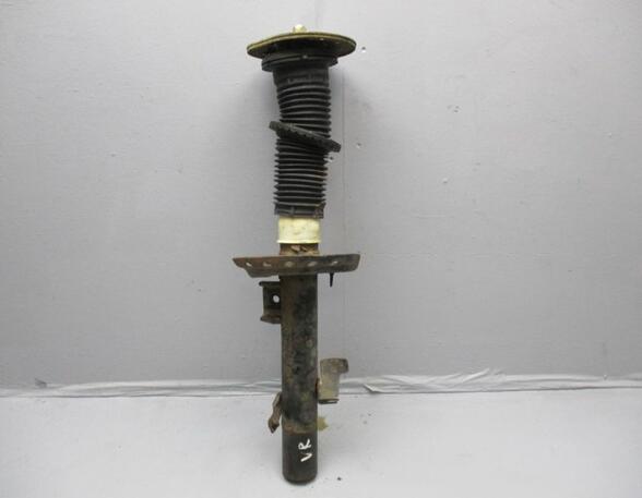 Suspension Strut LAND ROVER Freelander 2 (FA)