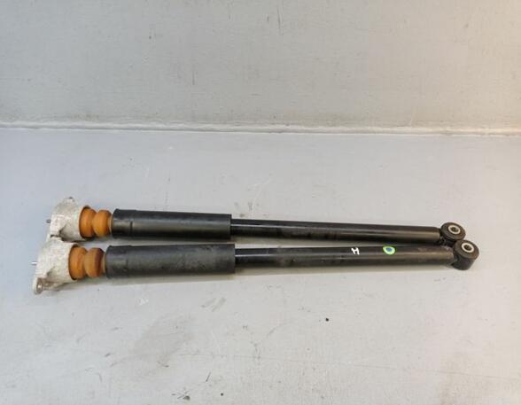 Suspension Strut FORD Fiesta VI (CB1, CCN)