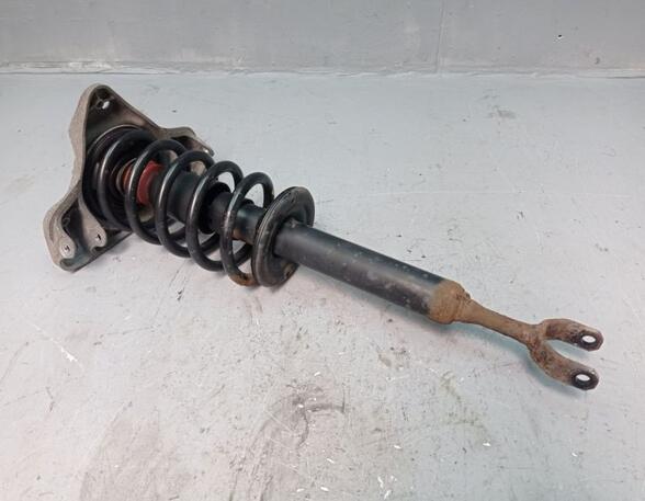 Suspension Strut VW Passat Variant (3B6)