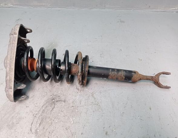 Suspension Strut VW Passat Variant (3B6)