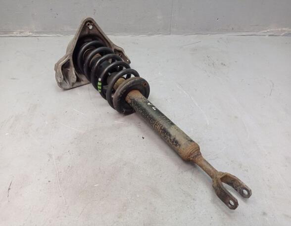 Suspension Strut AUDI A6 Avant (4F5, C6)