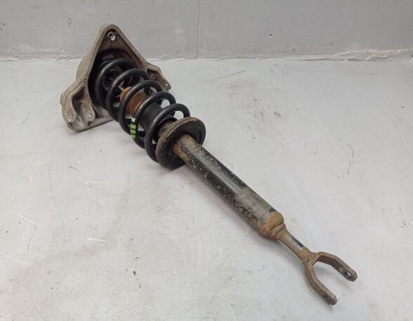 Suspension Strut AUDI A6 Avant (4F5, C6)