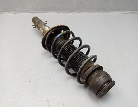 Suspension Strut VW Golf IV (1J1)