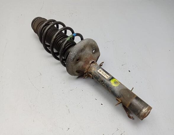 Suspension Strut VW Golf IV (1J1)