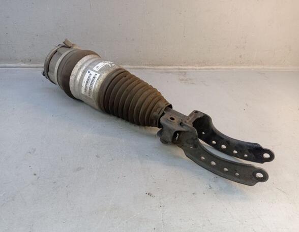 Suspension Strut PORSCHE CAYENNE (92A)