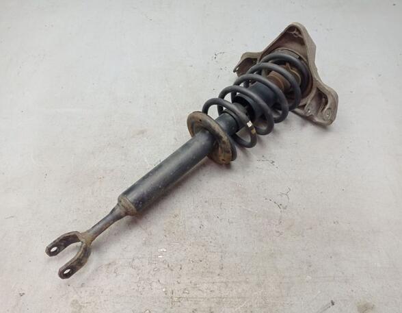 Suspension Strut VW PASSAT Variant (3B6)