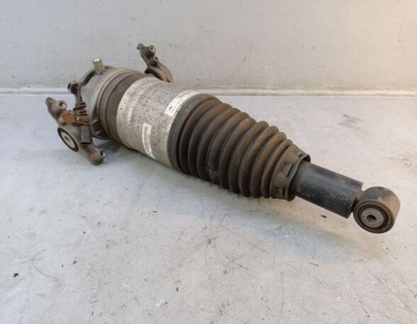 Suspension Strut PORSCHE CAYENNE (92A)