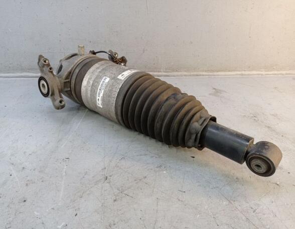 Suspension Strut PORSCHE CAYENNE (92A)