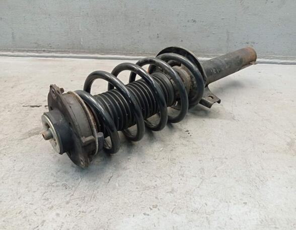 Suspension Strut SKODA OCTAVIA II Combi (1Z5)