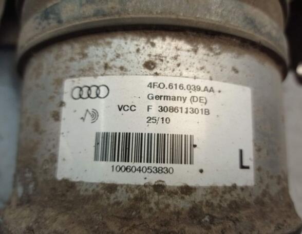 Suspension Strut AUDI A6 (4F2, C6)