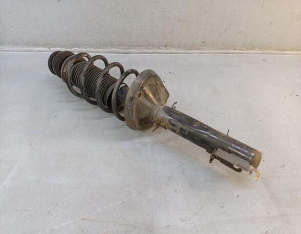 Suspension Strut VW GOLF IV (1J1)