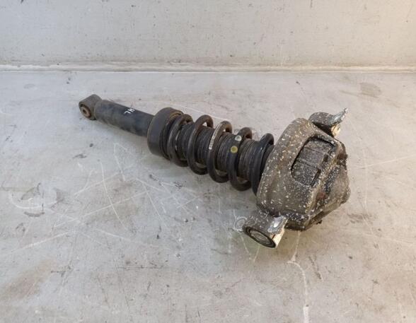 Suspension Strut PORSCHE CAYENNE (9PA)