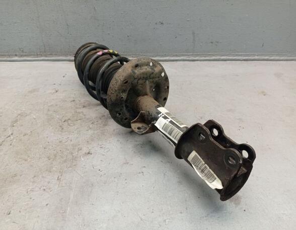 Suspension Strut FIAT GRANDE PUNTO (199_)