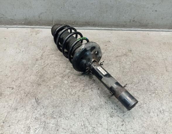 Suspension Strut VW NEW BEETLE (9C1, 1C1)