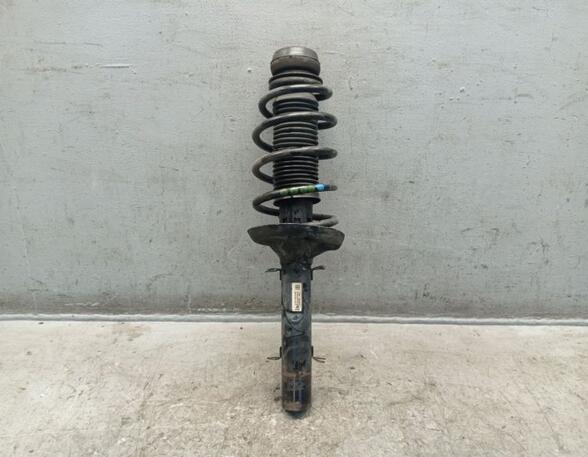 Suspension Strut VW NEW BEETLE (9C1, 1C1)