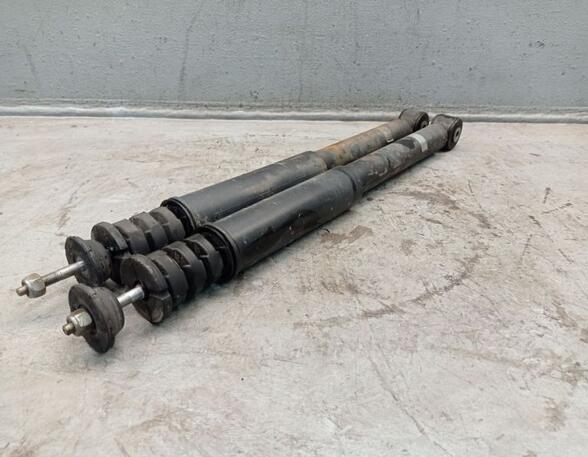 Shock Absorber RENAULT Twingo II (CN0)