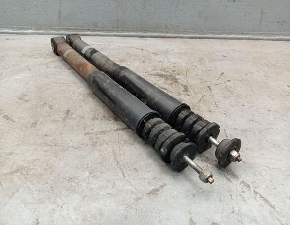 Shock Absorber RENAULT Twingo II (CN0)