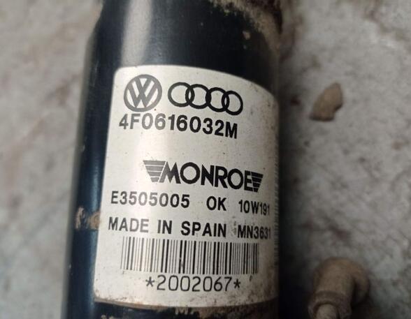 Shock Absorber AUDI A6 (4F2, C6)