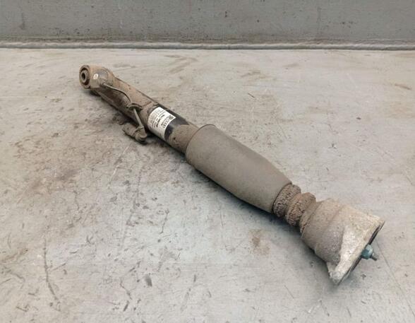 Shock Absorber AUDI A6 (4F2, C6)