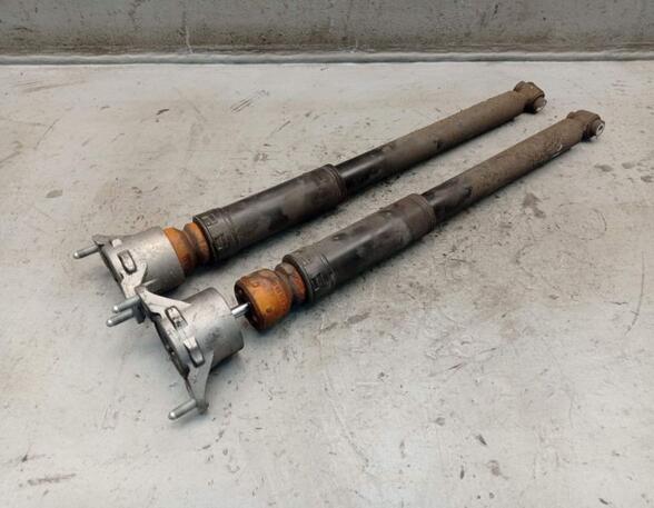 Shock Absorber MERCEDES-BENZ B-CLASS (W246, W242)