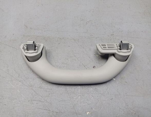 Grab Handle SKODA FABIA III (NJ3)