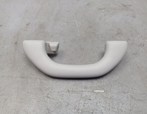 Grab Handle SKODA FABIA III (NJ3)