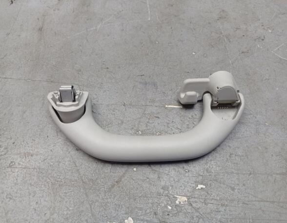 Grab Handle SKODA FABIA III (NJ3)