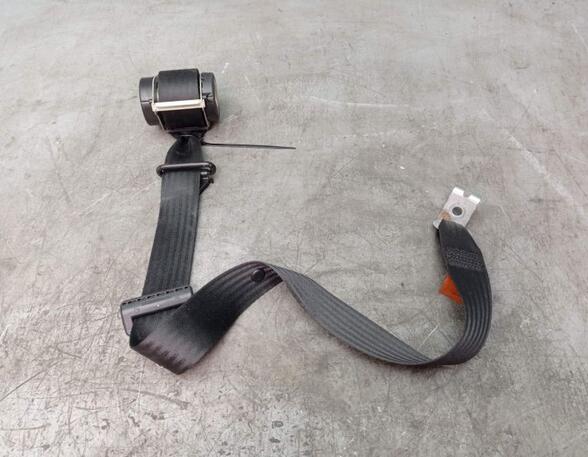 Safety Belts FORD C-MAX (DM2), FORD FOCUS C-MAX (DM2)