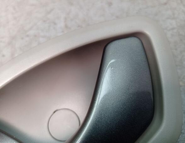 Interior Door Handle RENAULT ZOE (BFM_)