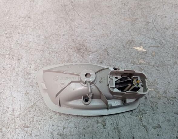 Interior Door Handle RENAULT ZOE (BFM_)