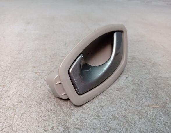 Interior Door Handle RENAULT ZOE (BFM_)