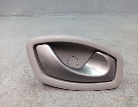 Interior Door Handle RENAULT ZOE (BFM_)