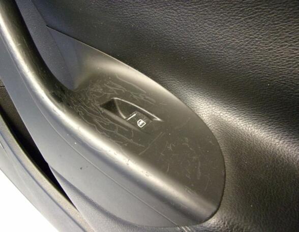 Door Card (Door Panel) VW Passat Variant (3C5)