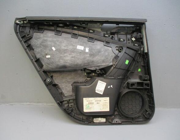 Door Card (Door Panel) VW Passat Variant (3C5)