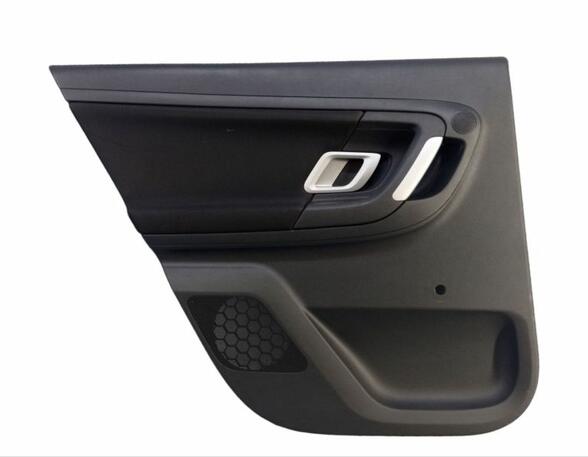 Door Card (Door Panel) SKODA Fabia II Combi (545)