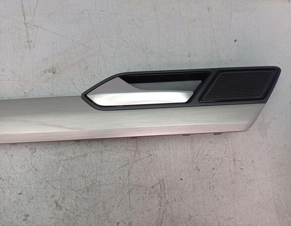 Door Card (Door Panel) VW PASSAT (3G2, CB2)