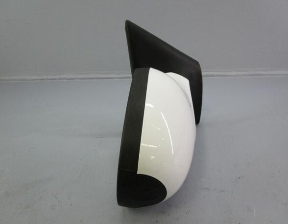 Wing (Door) Mirror RENAULT Twingo II (CN0)