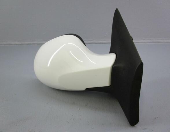 Wing (Door) Mirror RENAULT Twingo II (CN0)