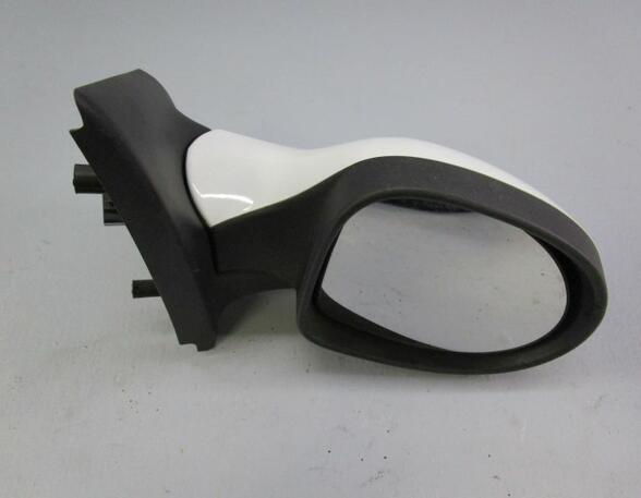 Wing (Door) Mirror RENAULT Twingo II (CN0)