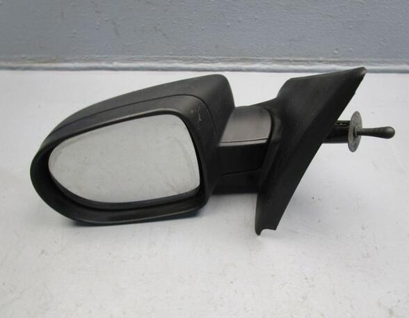 Wing (Door) Mirror RENAULT Clio III (BR0/1, CR0/1)