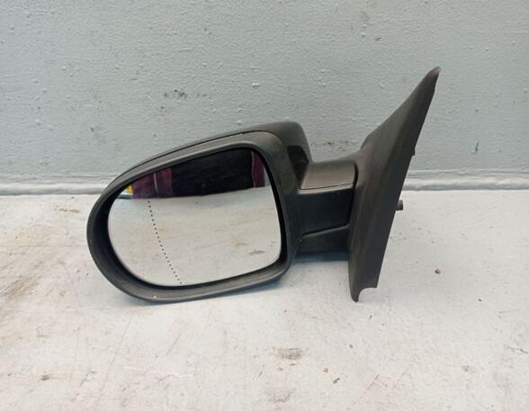 Wing (Door) Mirror RENAULT Clio III (BR0/1, CR0/1), RENAULT Clio IV (BH)