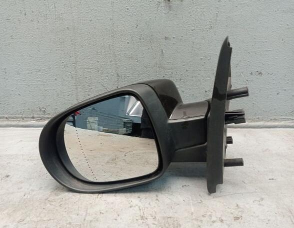 Wing (Door) Mirror RENAULT Twingo II (CN0)