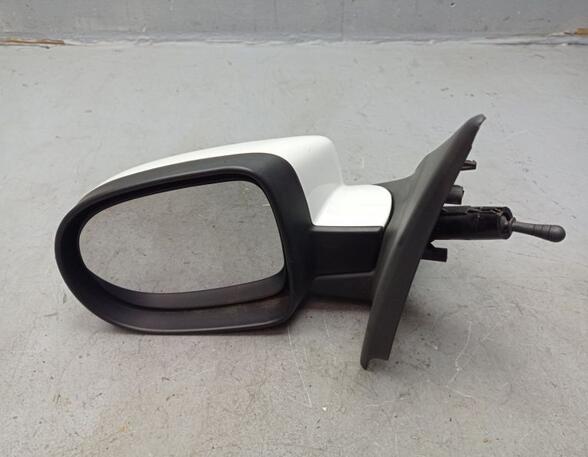 Wing (Door) Mirror RENAULT CLIO III (BR0/1, CR0/1), RENAULT CLIO IV (BH_)