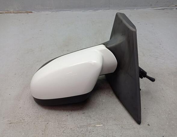 Wing (Door) Mirror RENAULT CLIO III (BR0/1, CR0/1), RENAULT CLIO IV (BH_)