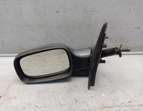 Wing (Door) Mirror RENAULT CLIO III (BR0/1, CR0/1)