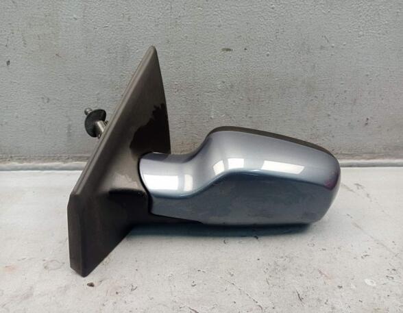 Wing (Door) Mirror RENAULT CLIO III (BR0/1, CR0/1)