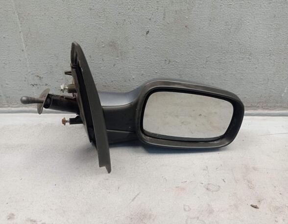 Wing (Door) Mirror RENAULT CLIO III (BR0/1, CR0/1)