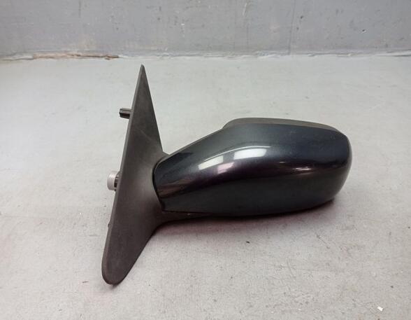 Wing (Door) Mirror RENAULT LAGUNA II (BG0/1_)