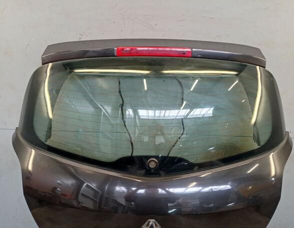 Boot (Trunk) Lid RENAULT CLIO III (BR0/1, CR0/1), RENAULT CLIO IV (BH_)